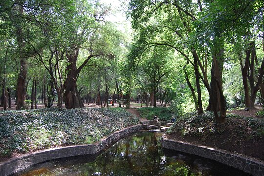 Tour image 11