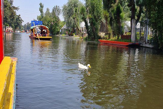 Tour image 5
