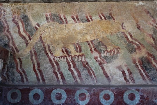 Tour image 5